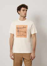 T-shirt in puro cotone stampata