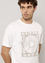 T-shirt in puro cotone stampata